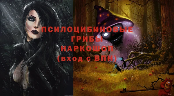 ГАЛЛЮЦИНОГЕННЫЕ ГРИБЫ Краснотурьинск