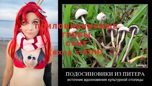 бошки Красноперекопск