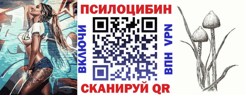 Псилоцибиновые грибы Cubensis  Льгов 