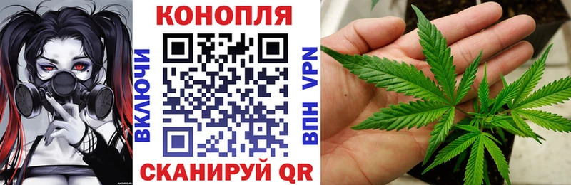 Шишки марихуана сатива  Льгов 